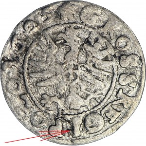 RR-, Sigismund III. Vasa, 1625 Bromberger Pfennig, halbkozisch, sehr selten