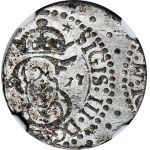 RRR-, Sigismund III Vasa, Shelagh 1617, Vilnius, volles Datum, LIT, HIGHLIGHTS, R7