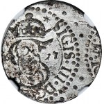 RRR-, Sigismund III Vasa, Shelrog 1617, Vilnius, full date, LIT, BENDED TARKS, R7
