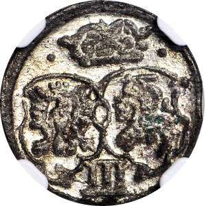 RR-, Sigismund III Vasa, Ternar 1620, Münze, R5