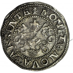 R-,Wolne Miasto Ryga, Ferding 1566