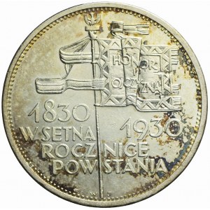 5 złotych 1930, Sztandar