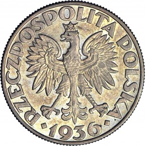 5 złotych 1936 Żaglowiec, menniczy