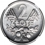 2 Gold 1960, čučoriedky, pozadie