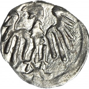 Schlesien, Georg von Podiebrad 1454-1462, Halerz ohne Datum, Löwe/Adler, Münze, R5, , lange und dünne Adlerfedern
