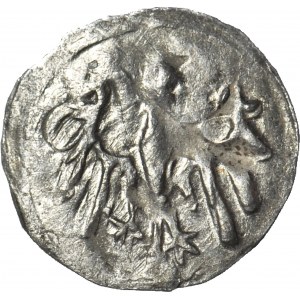 Schlesien, Georg von Podiebrad 1454-1462, Halerz ohne Datum, Löwe/Adler, Münze, R5, dicke Adlerfedern