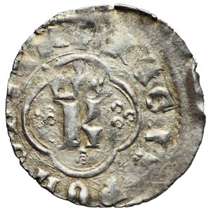 Kasimir III. der Große, Ruthenische Vierteljahresschrift, Lemberg, MONTA, R7