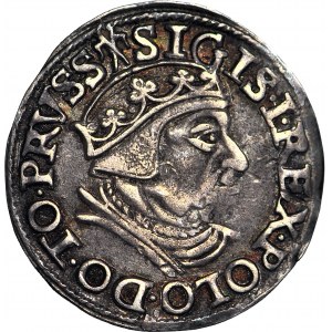 Sigismund I. der Alte, Trojak 1538, Danzig, R3