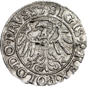 Sigismund I. der Alte, Elbląg 1539