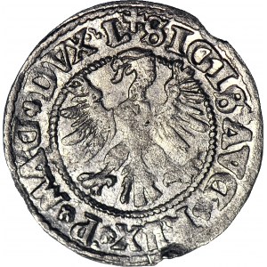 R-, Sigismund II Augustus, Halbpfennig 1546, Wilna, älterer Adlertyp, LITV/L+
