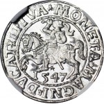 Sigismund II Augustus, Half-penny 1547, Vilnius, minted