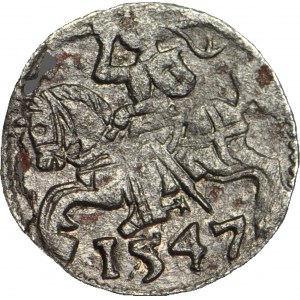 RR-, Sigismund II Augustus, denarius 1547 Vilnius, R6