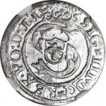 R-, Zygmunt III Waza, Szeląg 1600, Ryga, data +600
