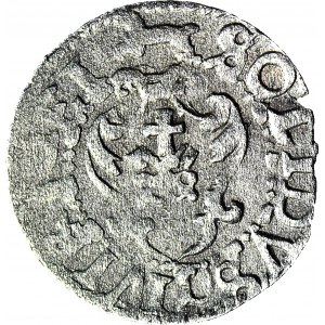 RRR-, Sigismund III Vasa, Shelah, no date, Riga