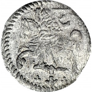 RRR-, Sigismund III Vasa, Dwudenar 1607, Vilnius, sehr seltener Jahrgang, T.20mk., R6