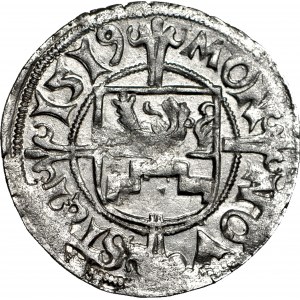 R-, Księstwo Szczecińskie, Bogusław X, Szeląg 1519
