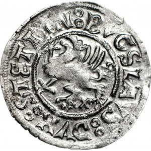 R-, Księstwo Szczecińskie, Bogusław X, Szeląg 1519