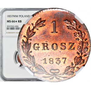 RRR-, Królestwo Polskie, 1 grosz 1837 MW, MAŁA DATA, WYJĄTKOWY