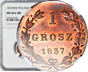 RRR-, Królestwo Polskie, 1 grosz 1837 MW, MAŁA DATA, WYJĄTKOWY