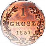 RRR-, Królestwo Polskie, 1 grosz 1837 MW, MAŁA DATA, WYJĄTKOWY