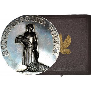 Medal 1926, Ministerstwo Rolnictwa i Dóbr Państwowych - Za Pracę i Zasługę, II klasa - srebrna