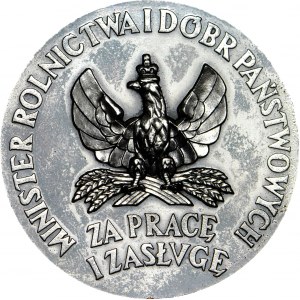 Medal 1926, Ministerstwo Rolnictwa i Dóbr Państwowych - Za Pracę i Zasługę, II klasa - srebrna