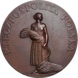 Medal 1926, Ministry of Agriculture and State Property - For Work and Merit, 3rd class - bronze.