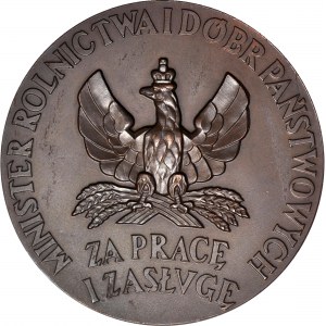 Medal 1926, Ministerstwo Rolnictwa i Dóbr Państwowych - Za Pracę i Zasługę, III klasa - brązowa