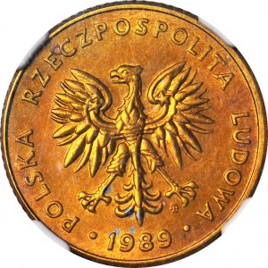 RRR-, 10 zloty 1989, Sampled in TECHNOLOGICAL brass, mintage of 18 pieces.