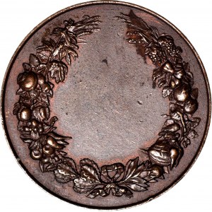 RR-, Rosja, Mikołaj II, Medal Turkiestańskiego Towarzystwa Ziemiaństwa Rolniczego, 36mm