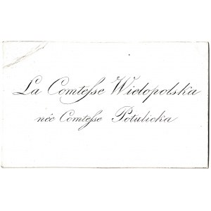 La Comtesse Wielopolska née Comtesse Potulicka (1787-1848) Józefa Potulicka z Więcborga h. Grzymała ...
