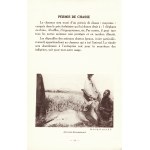 EXPÉDITIONS de Chasses au Cameroun et en A. E. F. Paris: O.E.A.L., [przed 1958]. - 24 s., il., mapka, reklamy...