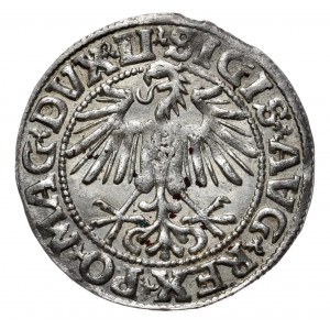 Zygmunt II August, półgrosz 1549, Wilno, LI/LITVA