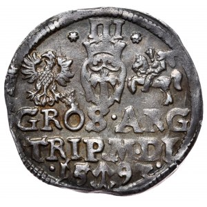 Zygmunt III Waza, Trojak 1593, Wilno