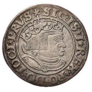 Zygmunt I Stary, grosz 1532, Toruń PRVS/PRVSS