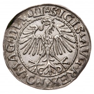 Zygmunt II August, Półgrosz 1548, Wilno - LI/LITVA