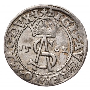Zygmunt II August, trojak 1562 Wilno, L/LI