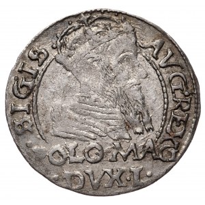 Zygmunt II August, Grosz na stopę polską 1566, Tykocin, L/LI