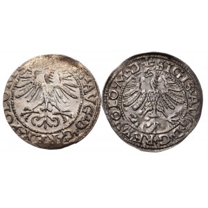 Zygmunt II August, zestaw półgroszy 1564 i 1565r, Wilno