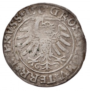 Zygmunt I Stary, grosz Toruń, ciekawa data 151r.