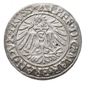 Prusy Książęce, Albrecht Hohenzollern, grosz 1537, Królewiec