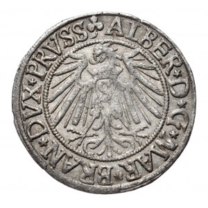 Prusy Książęce, Albrecht Hohenzollern, grosz 1541, Królewiec