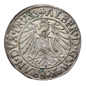 Prusy Książęce, Albrecht Hohenzollern, grosz 1542, Królewiec