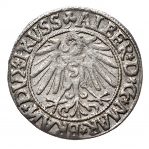 Prusy Książęce, Albrecht Hohenzollern, grosz 1545, Królewiec