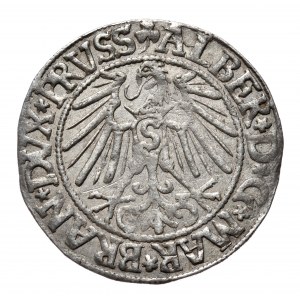 Prusy Książęce, Albrecht Hohenzollern, grosz 1546, Królewiec