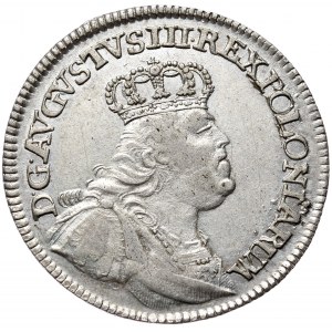 August III, ort 1754, Lipsk, mała głowa