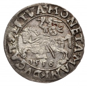 Zygmunt II August, półgrosz 1556, Wilno, LI/LITVA, błąd MANI