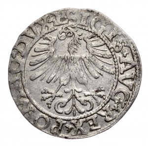 Zygmunt II August, półgrosz 1562, Wilno, L/LITV