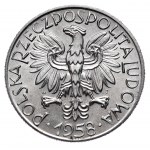 PRL, 5 złotych 1958 Rybak - BAŁWANEK