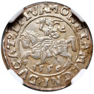 Zygmunt II August, półgrosz 1556, Wilno, LI/LITVA